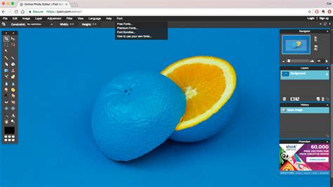 Image result for Pixlr Editor Basic