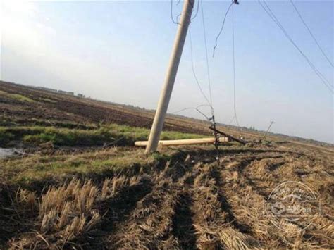 农村电线杆都多高,电线杆一般长多少米,0v农村电线高度_大山谷图库