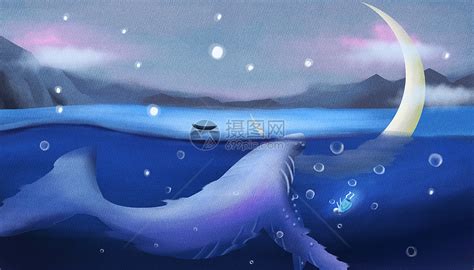 这个世界上，有一条最寂寞的鲸鱼，叫Alice… - 堆糖，美图壁纸兴趣社区