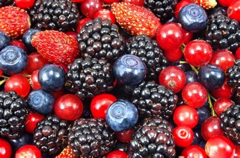 浆果的种类有哪些 浆果类水果种类大全 - 鲜淘网