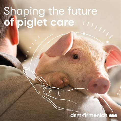 Shaping piglet care