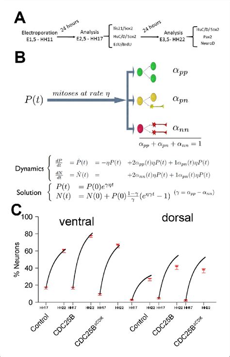 Image result for Division Fraction How Model of To