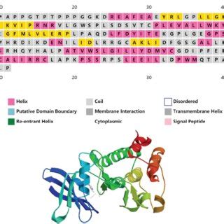 Image result for PIM2