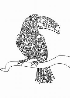 ausmalbilder tiere erwachsene animal coloring pages pdf by marko petkovic issuu ausmalbilder tiere erwachsene animal coloring pages pdf by marko petkovic issuu