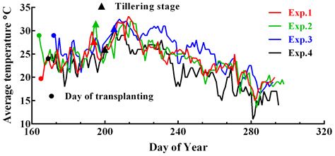 Predicting Rice Grain Yield Based on Dynamic Changes in Vegetation ...
