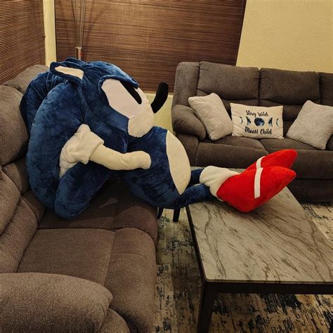 Sonic Puppet 的图像结果