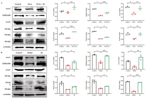 Metabolites | An Open Access Journal from MDPI