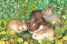 Image result for Welcome Spring Image with Bunnies