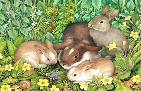 Image result for Free Spring Rabbit