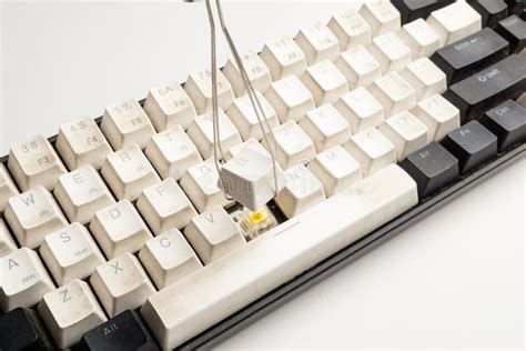 Image result for Computer Keyboard Maintenance
