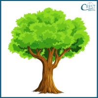 Image result for Pick Apple Game JavaScript