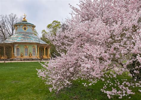 Springtime Clips 的图像结果