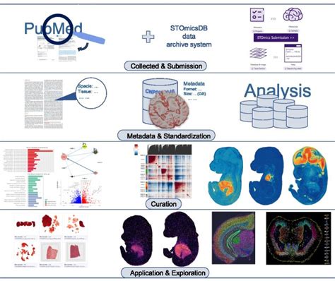 Image result for Transcriptomics Databases