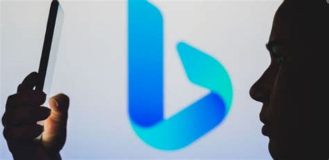 新必应 的图像结果