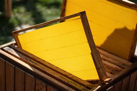 Accesorios esenciales: mejoras en la precisión