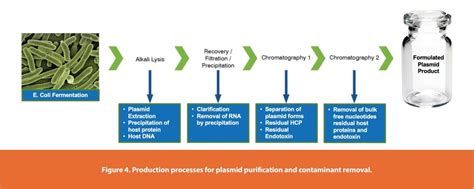 Viral Vector Manufacturing Process 的图像结果