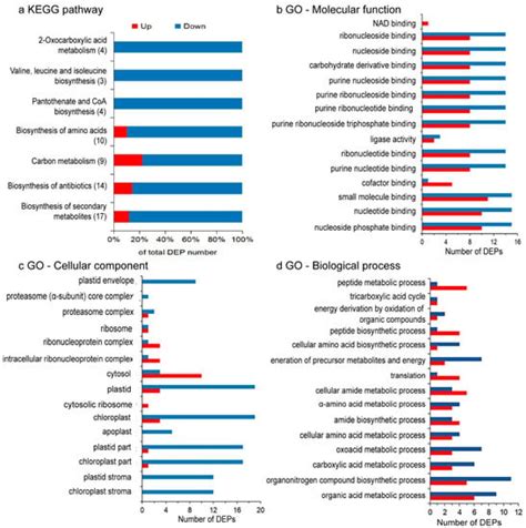 Quantitative Proteomics of Chromochloris zofingiensis Reveals the Key ...
