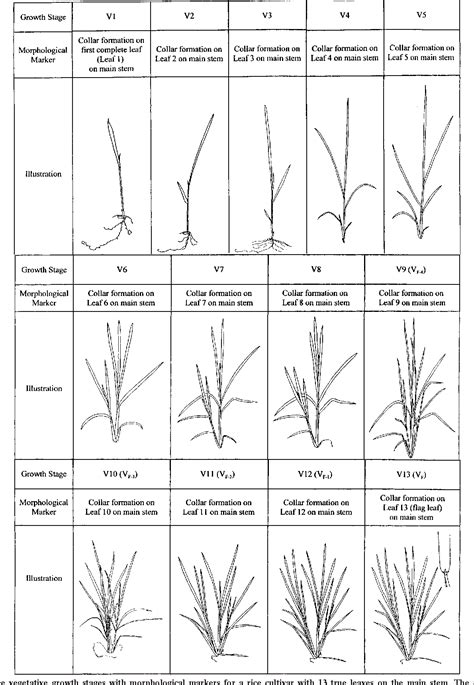 Image result for Adaptive System