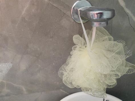 Buy ETSAP Premium Bathing Round Loofah for Men and Women (Pack of 4 ...