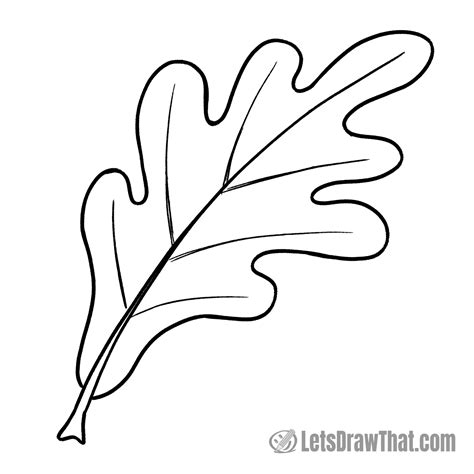 How to Draw Leaves: 3 Easy Fall Leaf Drawings
