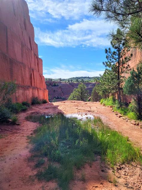 Guide to Hiking Red Rock Canyon Open Space in Colorado Springs