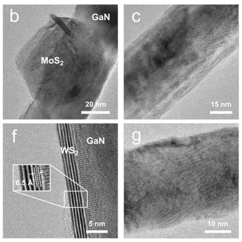 Most Powerful Microscope 的图像结果