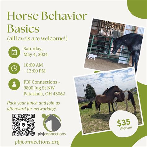 Horse Behavior Basics, 9800 Jug St NW, Pataskala, OH, United States ...