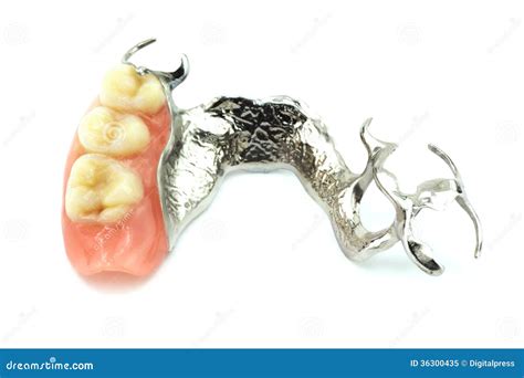 Removable partial denture stock image. Image of isolated - 36300435