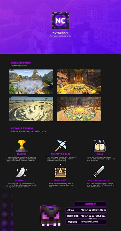 Joignable SMP Java 的图像结果