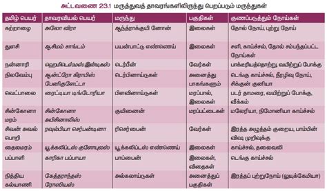 மருத்துவத் தாவரங்கள் | Medicinal Plants | in Tamil