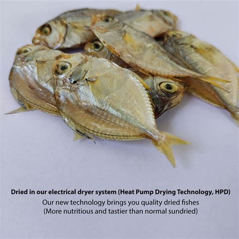 Dried Silver Belly Fish – MyVillageShop.com