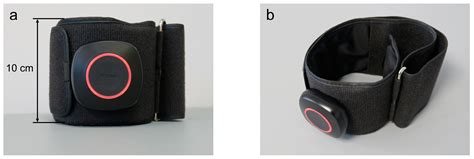 The Effect of Blood Flow Restriction during Low-Load Resistance ...