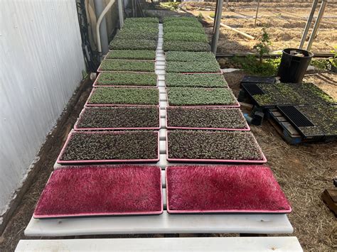 Fire Farms Maui - Fire Farms Maui