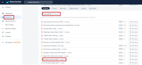 How to Fix Multiple Canonical URLs | Sitechecker