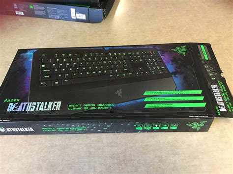 Amazon.in: Buy Razer DeathStalker – Expert Gaming Keyboard - US Layout ...