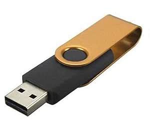Pili Dingtian USB Flash Drive 128GB Memory Stick 128GB Stick External ...
