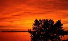 Orange Wallpaper Landscape by Photography Landscape Trees Nature Coast Sunset Orange Wallpaper Landscape