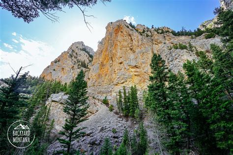 Where Is Trout Creek Mt at Beulah Insley blog
