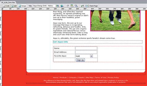 Styling Forms with CSS 的图像结果