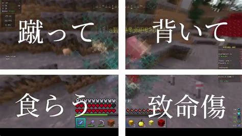 Image result for Bionic Minecraft UHC Highlights