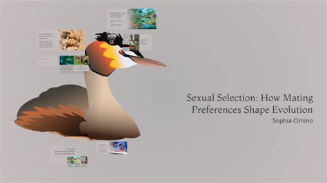 Image result for Dashboard User Guide Example