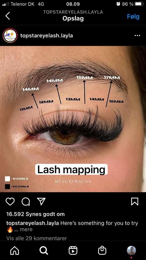 Image result for Troubleshooting Lash Lift Tutorial