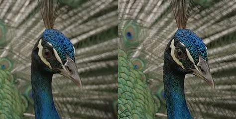 Image result for Increase Image Resolution