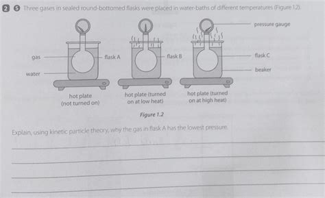 can someone answer this question - Brainly.in