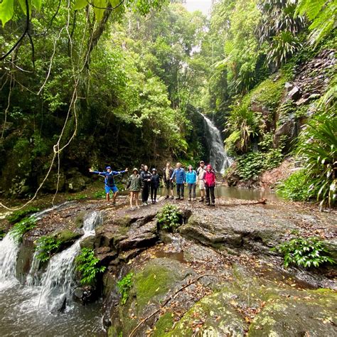 RAINFOREST TOURS AUSTRALIA (2026) All You Need to Know BEFORE You Go ...