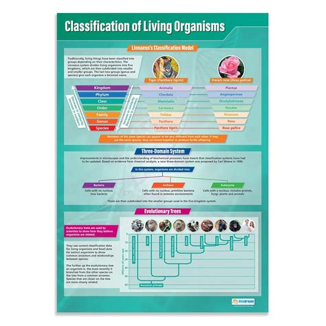 Classification of Living Organisms | Science Posters | Gloss Paper ...
