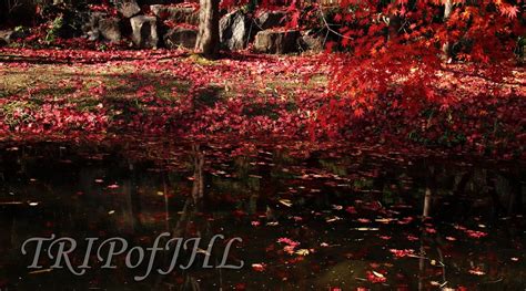 NAMSAN OUTDOOR BOTANICAL GARDEN (2025) All You Need to Know BEFORE You ...