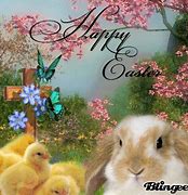 Image result for Happy Easter Butterfly