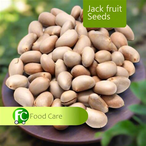 Jack fruit Seeds 1 kg Pack - Fresh for cooking Selection – Food Care INDIA