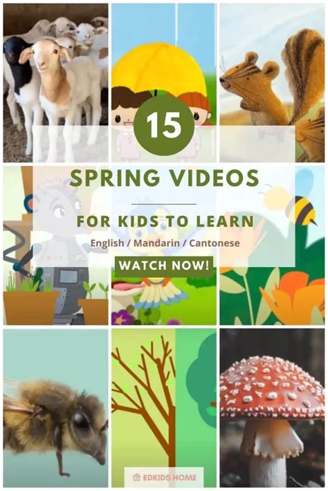 Image result for Spring Time Video for Kids